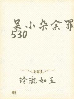 呆小朵余罪全集530