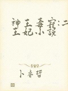 神王毒宠:二嫁王妃小说