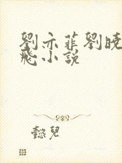 刘亦菲刘晓莉双飞小说封面