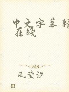 中文字幕 精品 在线