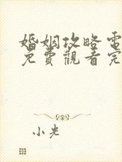 婚姻攻略电视剧免费观看完整版高清封面