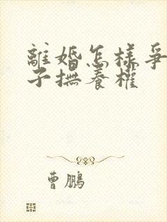 离婚怎样争夺孩子抚养权