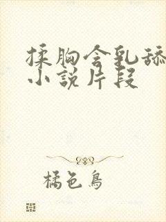 揉胸含乳舔下面小说片段