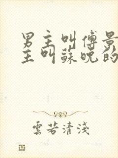 男主叫傅景琛女主叫苏晚的小说