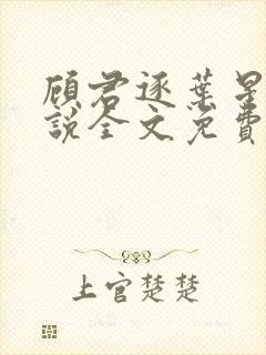 顾君逐叶星北小说全文免费阅读封面