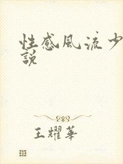 性感风流少妇小说封面