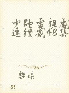 少帅电视剧免费连续剧48集封面