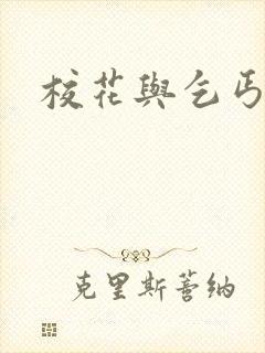 校花与乞丐阅读