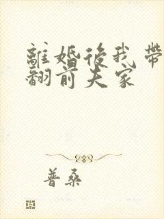 离婚后我带娃虐翻前夫家封面