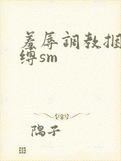 羞辱调教捆绑束缚sm