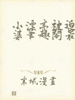 小漂亮被迫当老婆笔趣阁最新章节封面