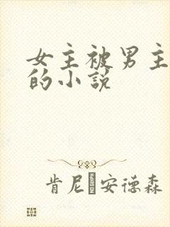 女主被男主强暴的小说封面