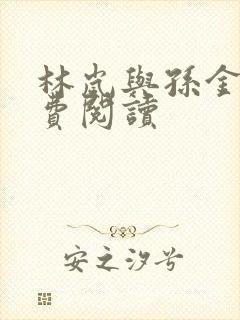 林岚与孙金哲免费阅读