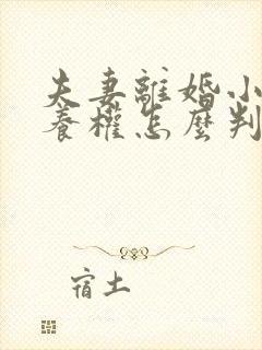 夫妻离婚小孩抚养权怎么判抚养费怎么出