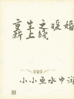 重生之暖婚甜妻新上线