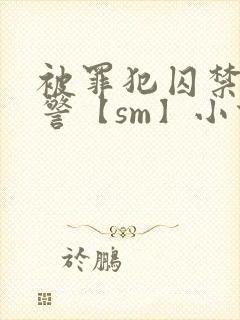 被罪犯囚禁的刑警【sm】小说