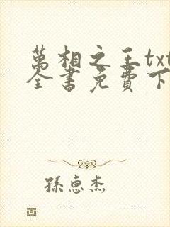 万相之王txt全书免费下载