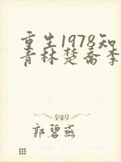 重生1978知青林楚乔李向南txt