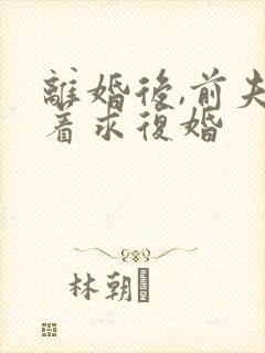 离婚后,前夫哭着求复婚