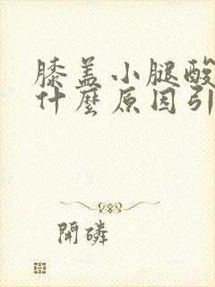 膝盖小腿酸胀痛什么原因引起的女性