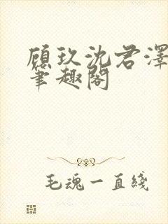 顾玖沈君泽小说笔趣阁封面