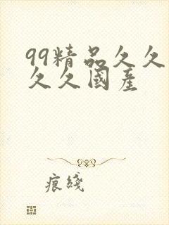 99精品久久久久久国产