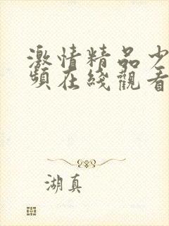 激情精品少妇视频在线观看