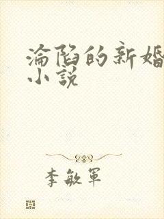沦陷的新婚少妇小说