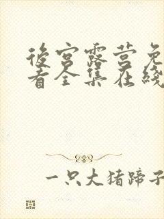 后宫露营免费观看全集在线