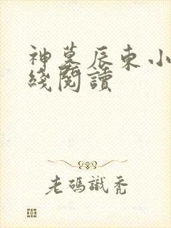 神墓辰东小说在线阅读封面