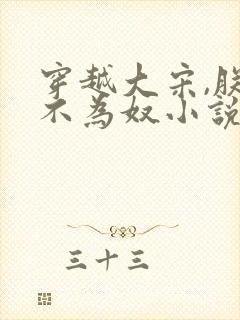 穿越大宋,朕绝不为奴小说