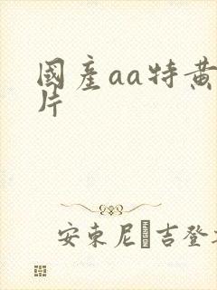 国产aa特黄大片