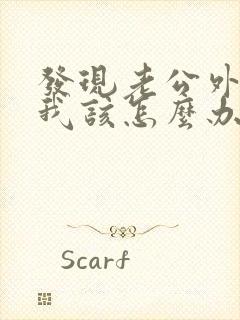 发现老公外遇了我该怎么办封面