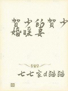 贺少的贺少的闪婚暖妻