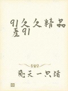 91久久精品国产91