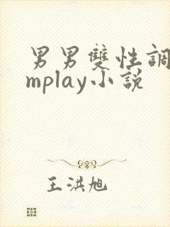 男男双性调教smplay小说