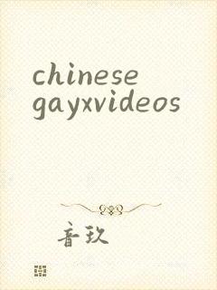 chinesegayxvideos封面