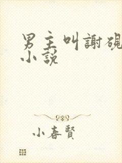 男主叫谢砚礼的小说