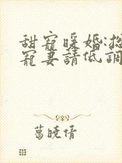 甜宠暖婚:总裁宠妻请低调