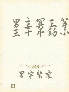 男主冥王等了女主千年的小说