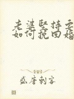 老婆坚持要离婚如何挽回婚姻封面