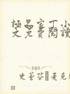 极品家丁小说全文免费阅读全文