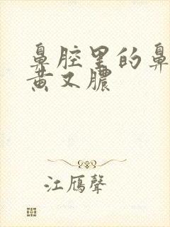 鼻腔里的鼻涕又黄又脓封面