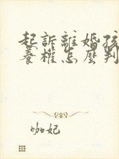 起诉离婚孩子抚养权怎么判