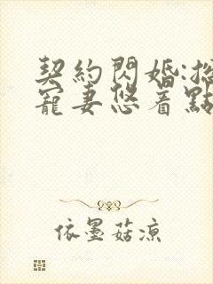 契约闪婚:总裁宠妻悠着点