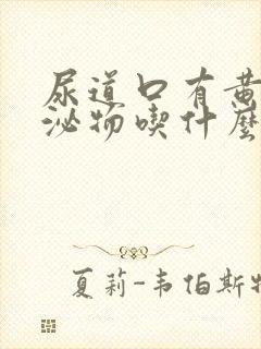 尿道口有黄色分泌物吃什么药