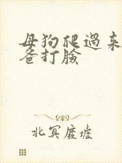 母狗爬过来叫爸爸打脸