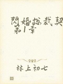 闪婚总裁契约妻 第1章封面