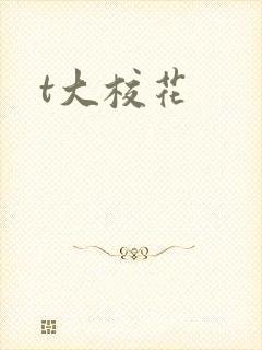 t大校花