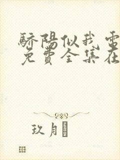 骄阳似我电视剧免费全集在线观看